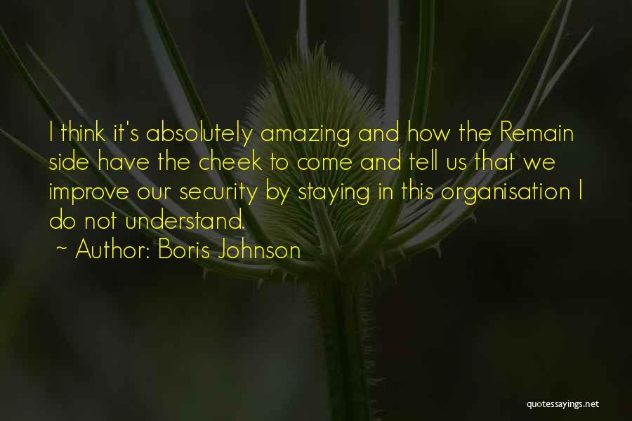 Your Absolutely Amazing Quotes By Boris Johnson