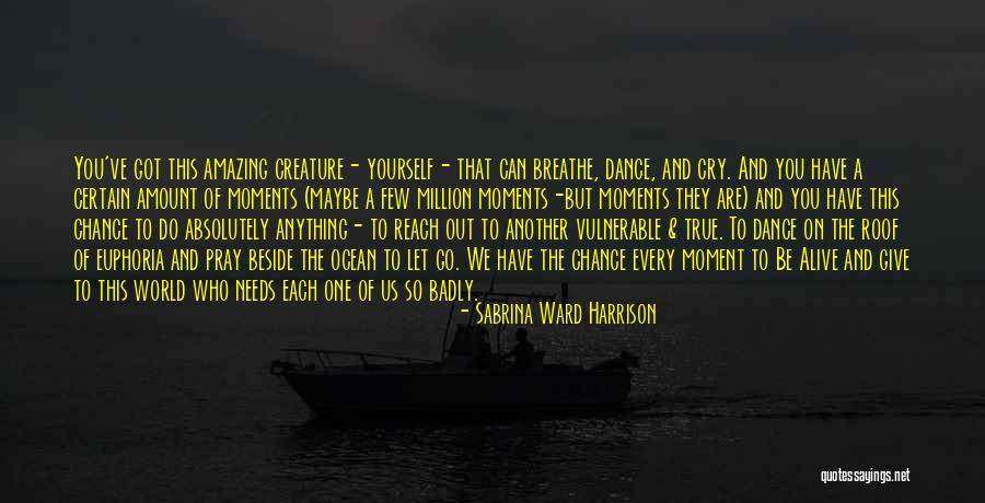 Your Absolutely Amazing Quotes By Sabrina Ward Harrison