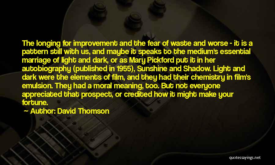 Your Appreciated Quotes By David Thomson