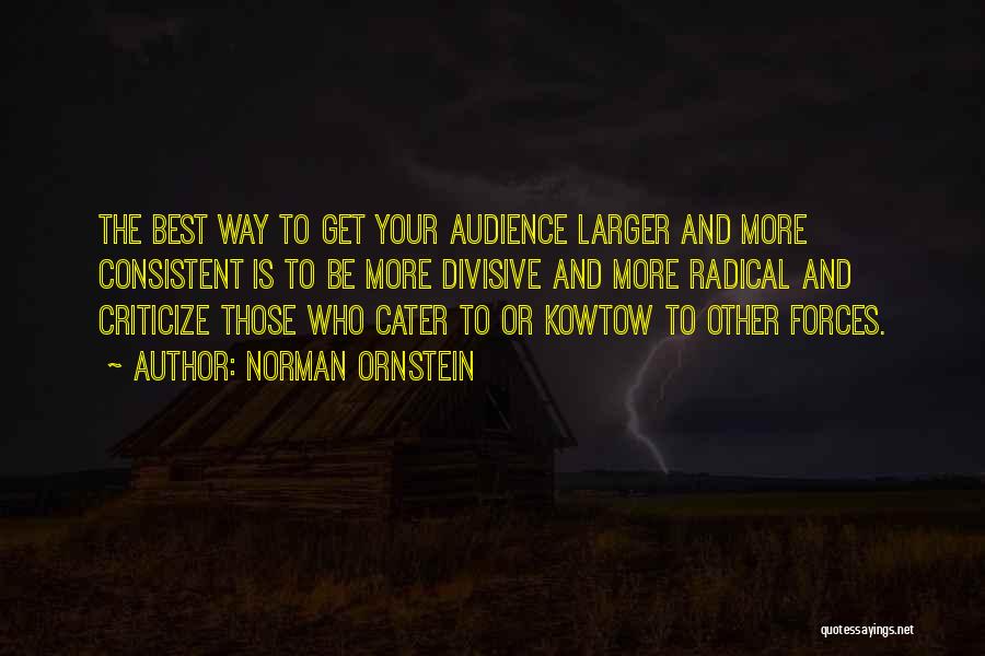 Your Audience Quotes By Norman Ornstein