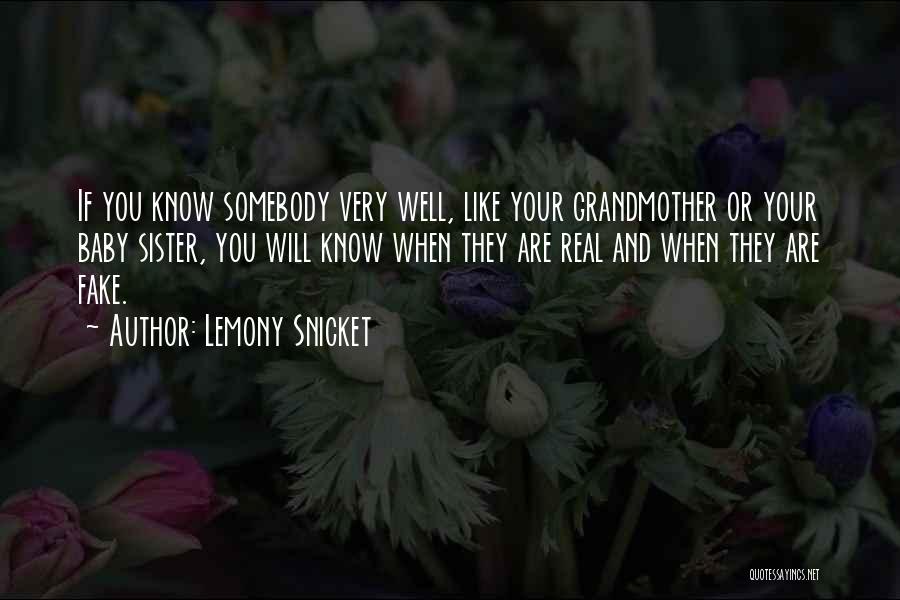 Your Baby Sister Quotes By Lemony Snicket