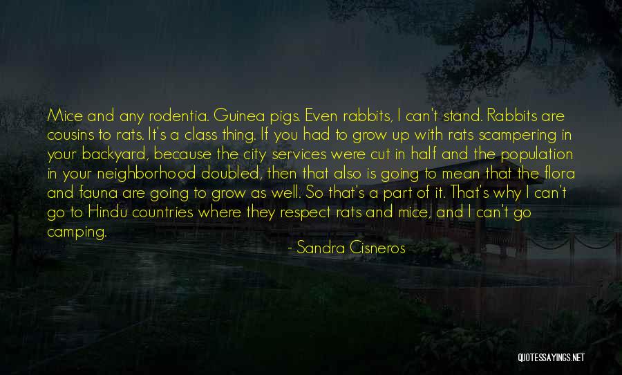 Your Backyard Quotes By Sandra Cisneros