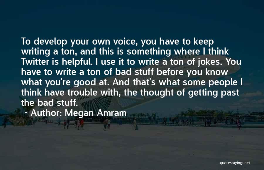 Your Bad Past Quotes By Megan Amram