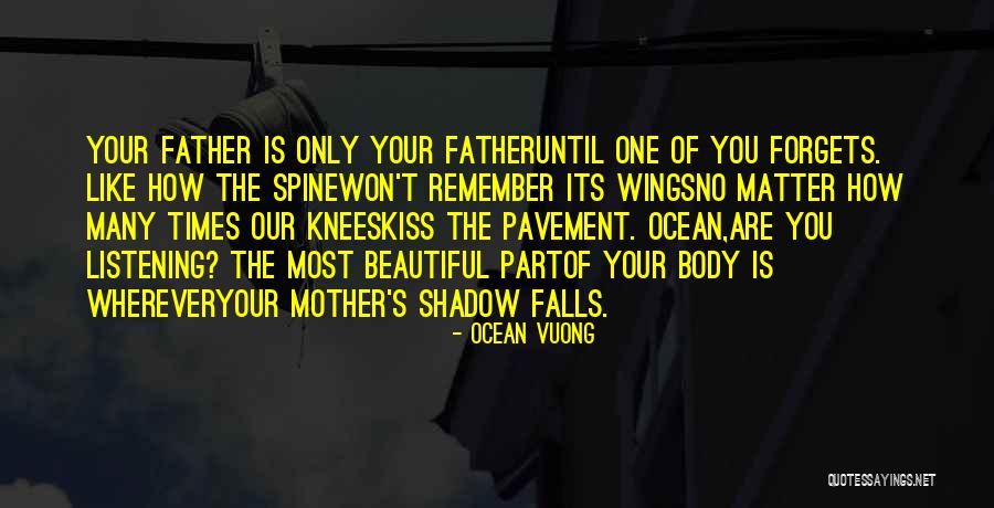 Your Beautiful Mother Quotes By Ocean Vuong Your Beautiful Mother Quotes By Ocean Vuong