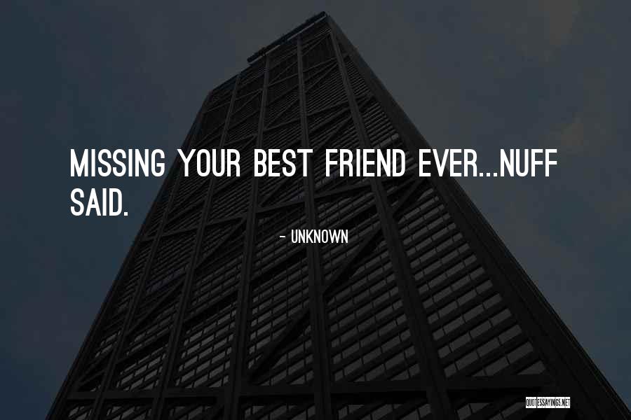 Your Best Friend Quotes By Unknown