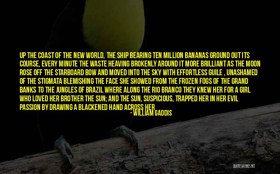Your Brother Leaving Quotes By William Gaddis Your Brother Leaving Quotes By William Gaddis