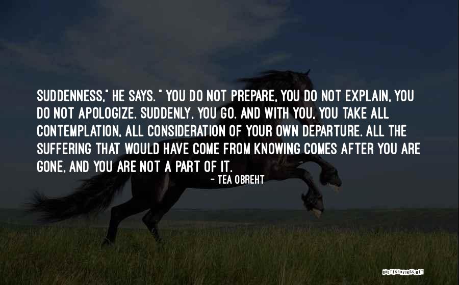 Your Consideration Quotes By Tea Obreht