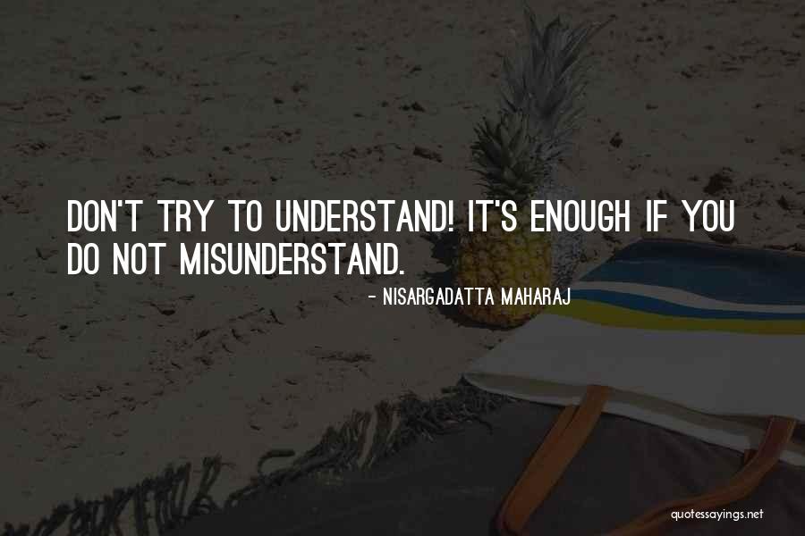 Your Crush Likes Someone Else Quotes By Nisargadatta Maharaj Your Crush Likes Someone Else Quotes By Nisargadatta Maharaj