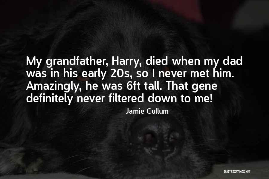 Your Dad Who Died Quotes By Jamie Cullum Your Dad Who Died Quotes By Jamie Cullum