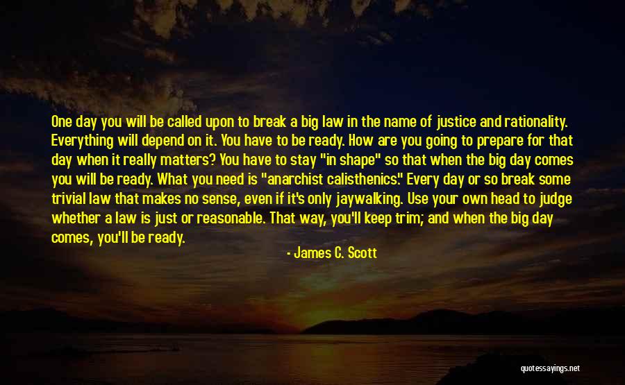Your Day Depend Quotes By James C. Scott Your Day Depend Quotes By James C. Scott