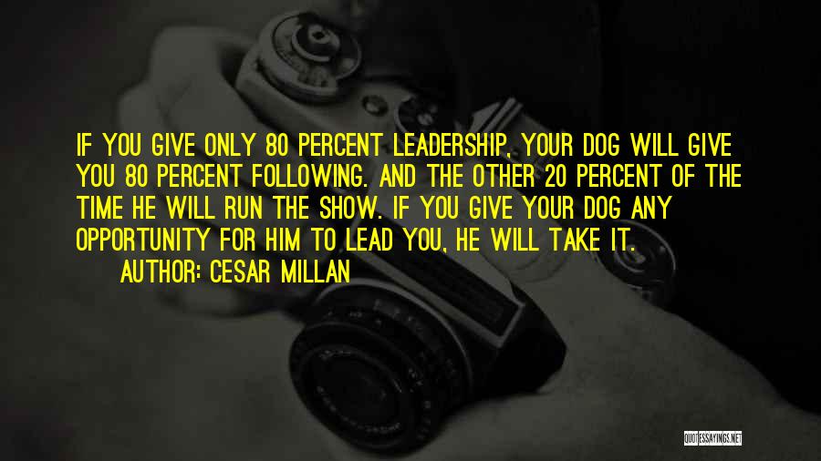 Your Dog And You Quotes By Cesar Millan