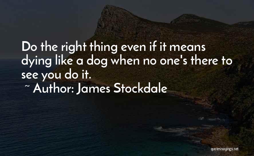 Your Dog Dying Quotes By James Stockdale