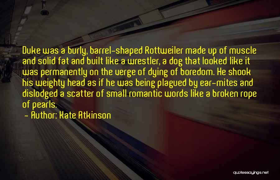 Your Dog Dying Quotes By Kate Atkinson