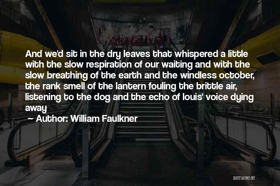 Your Dog Dying Quotes By William Faulkner