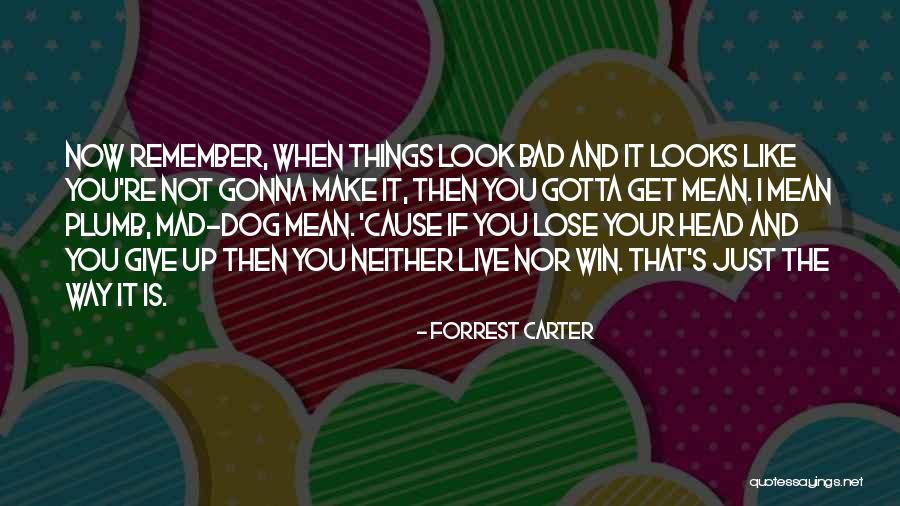 Your Dog Quotes By Forrest Carter