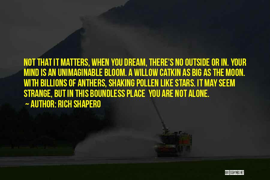 Your Dream Place Quotes By Rich Shapero