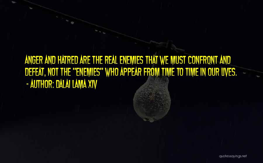 Your Enemies Defeat Quotes By Dalai Lama XIV
