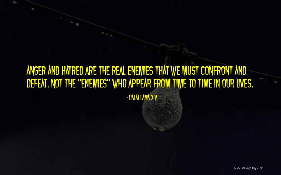 Your Enemies Defeat Quotes By Dalai Lama XIV