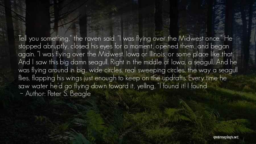 Your Eyes Are Like The Ocean Quotes By Peter S. Beagle