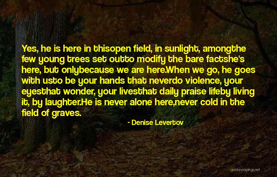 Your Eyes Only Quotes By Denise Levertov Your Eyes Only Quotes By Denise Levertov