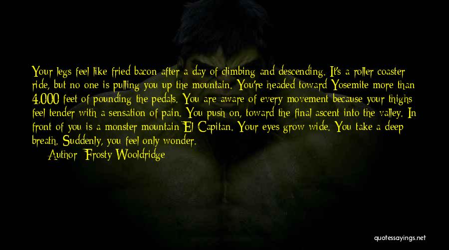 Your Eyes Only Quotes By Frosty Wooldridge