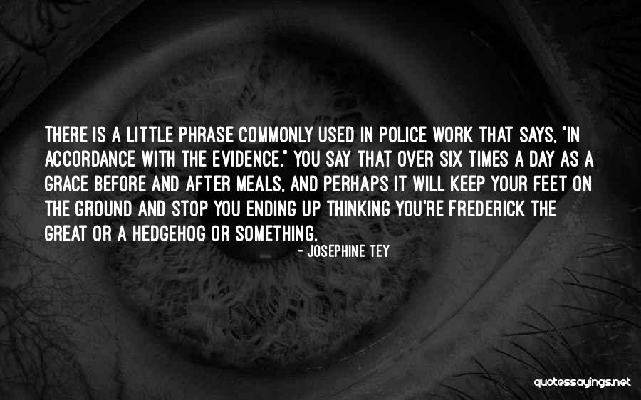 Your Feet Quotes By Josephine Tey Your Feet Quotes By Josephine Tey