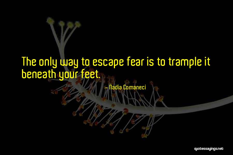 Your Feet Quotes By Nadia Comaneci Your Feet Quotes By Nadia Comaneci