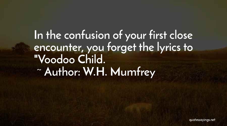 Your First Child Quotes By W.H. Mumfrey