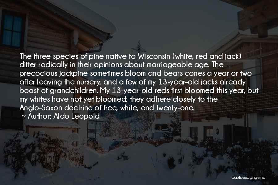 Your First Grandchildren Quotes By Aldo Leopold