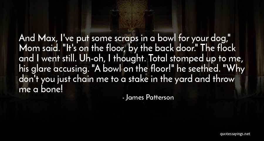 Your Flock Quotes By James Patterson Your Flock Quotes By James Patterson