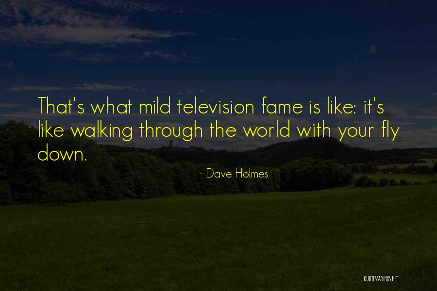 Your Fly Is Down Quotes By Dave Holmes Your Fly Is Down Quotes By Dave Holmes