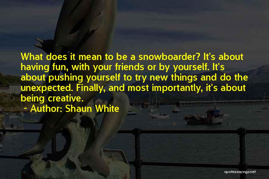 Your Friends Being Mean To You Quotes By Shaun White