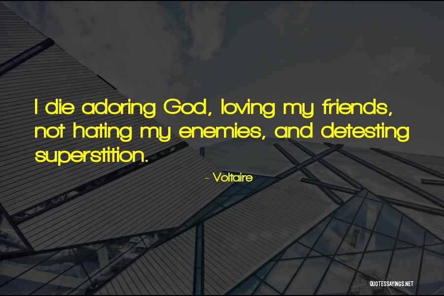 Your Friends Hating You Quotes By Voltaire Your Friends Hating You Quotes By Voltaire