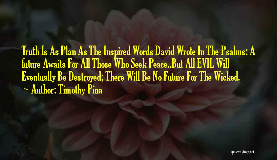 Your Future Awaits You Quotes By Timothy Pina
