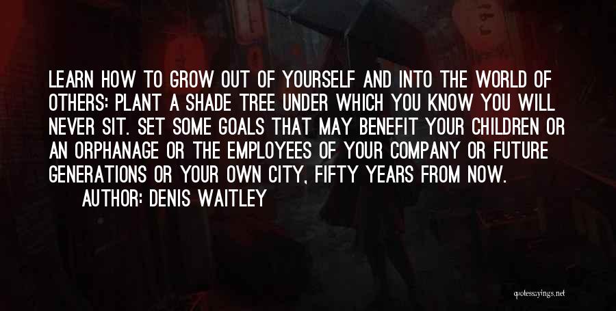 Your Future Goals Quotes By Denis Waitley