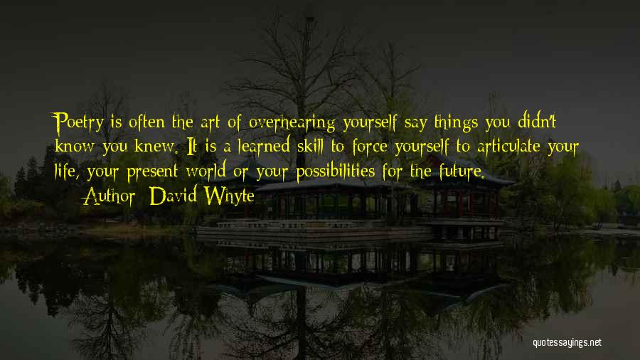 Your Future Life Quotes By David Whyte