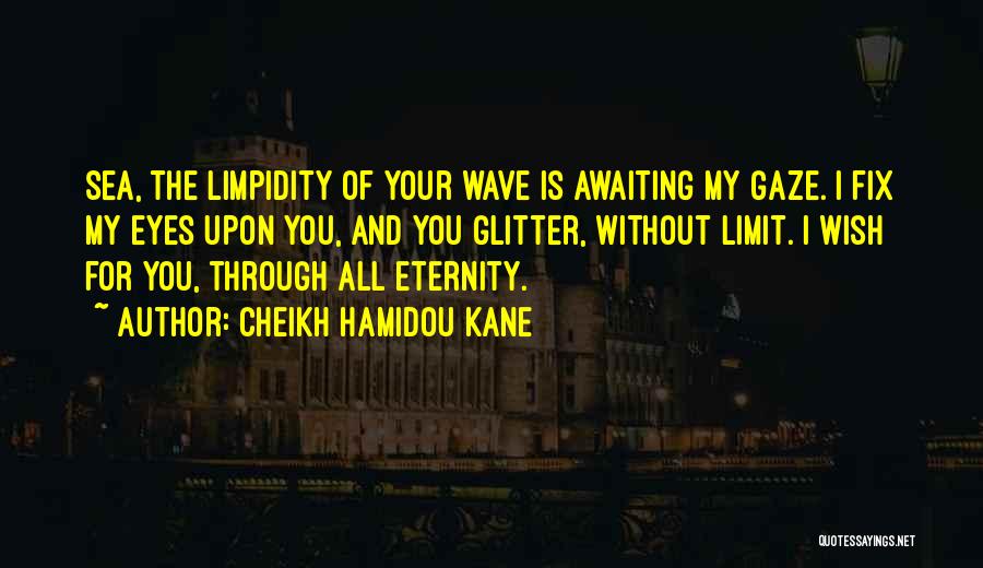 Your Gaze Quotes By Cheikh Hamidou Kane