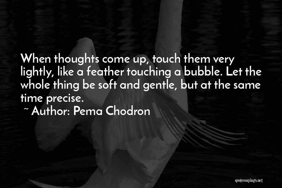 Your Gentle Touch Quotes By Pema Chodron