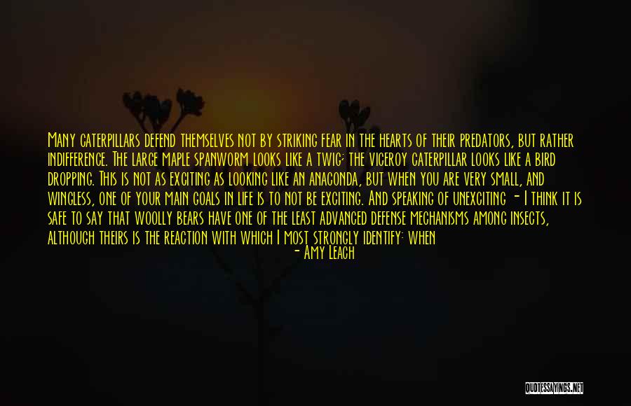 Your Goals In Life Quotes By Amy Leach Your Goals In Life Quotes By Amy Leach