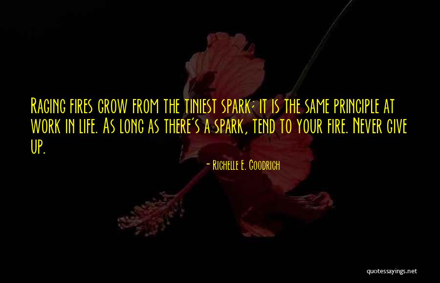 Your Goals In Life Quotes By Richelle E. Goodrich Your Goals In Life Quotes By Richelle E. Goodrich