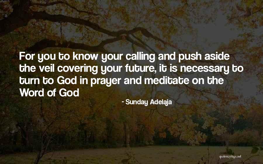 Your Goals In Life Quotes By Sunday Adelaja Your Goals In Life Quotes By Sunday Adelaja