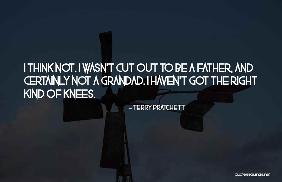 Your Grandad Quotes By Terry Pratchett