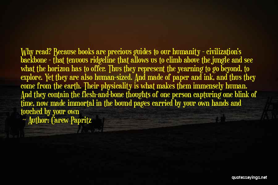 Your Guides Quotes By Carew Papritz