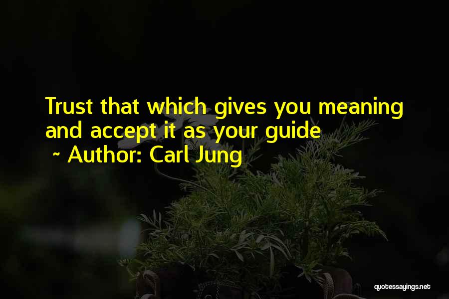 Your Guides Quotes By Carl Jung