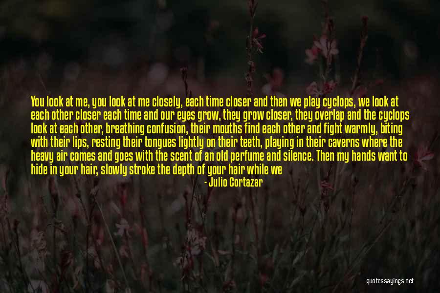 Your Hands Look Like Quotes By Julio Cortazar Your Hands Look Like Quotes By Julio Cortazar