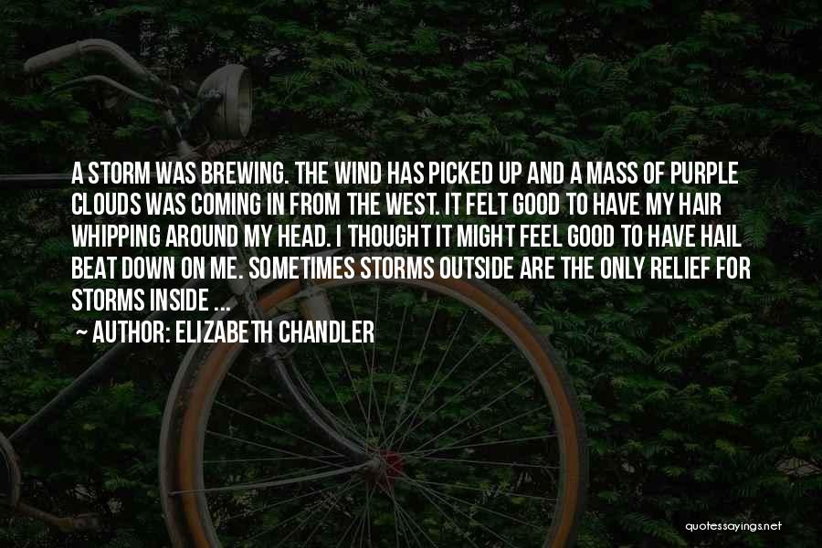 Your Head In The Clouds Quotes By Elizabeth Chandler