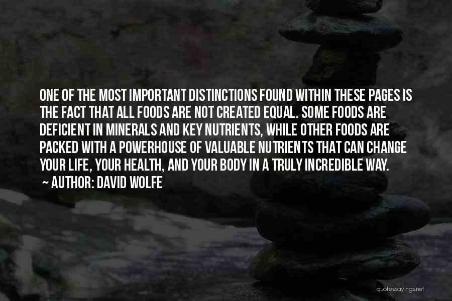 Your Health Is Important Quotes By David Wolfe