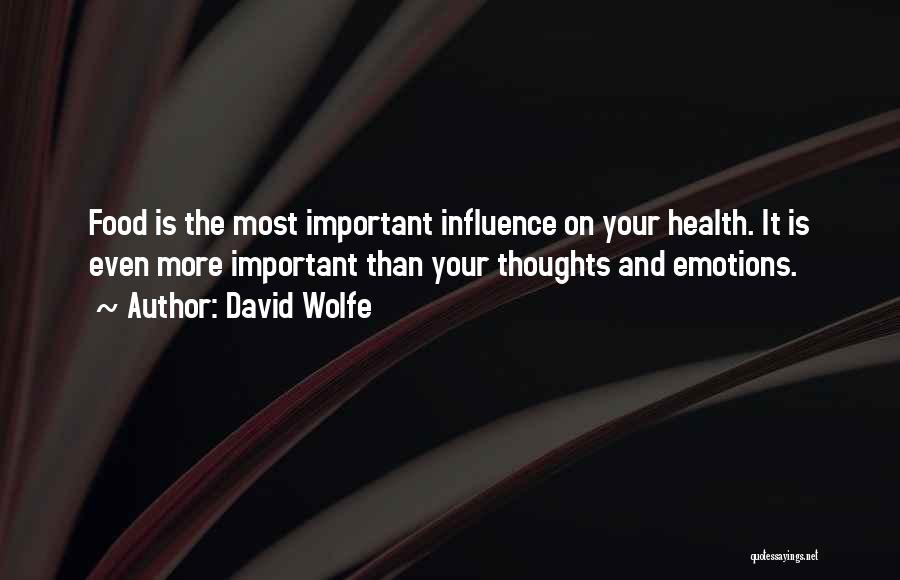 Your Health Is Important Quotes By David Wolfe