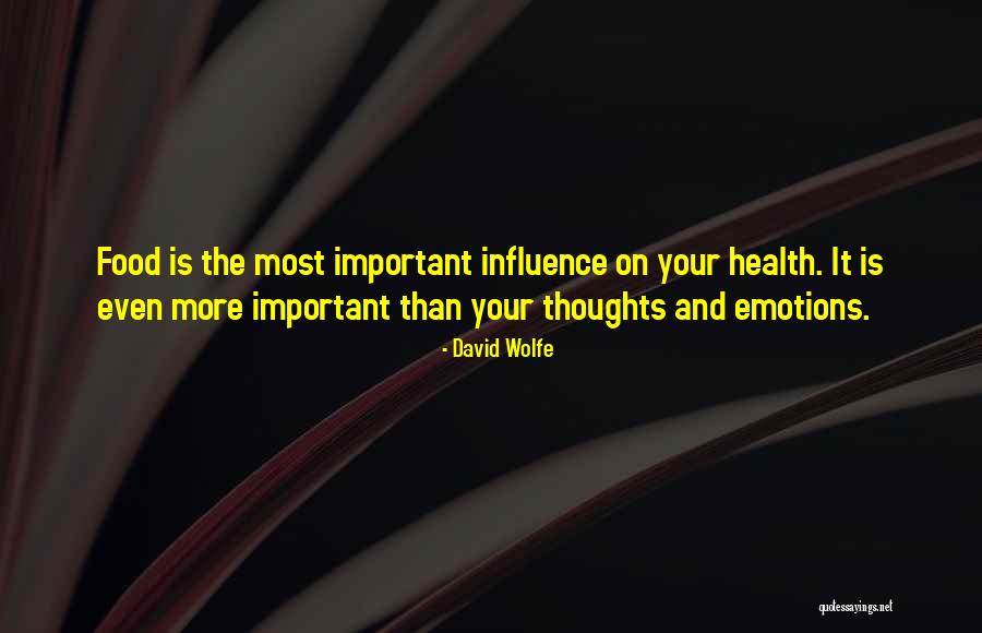 Your Health Is More Important Quotes By David Wolfe Your Health Is More Important Quotes By David Wolfe