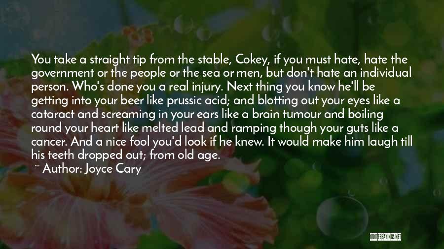 Your Heart And Brain Quotes By Joyce Cary